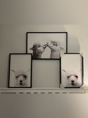 Black Framed Alpaca Wall Art Trio - Neutral Animal Prints